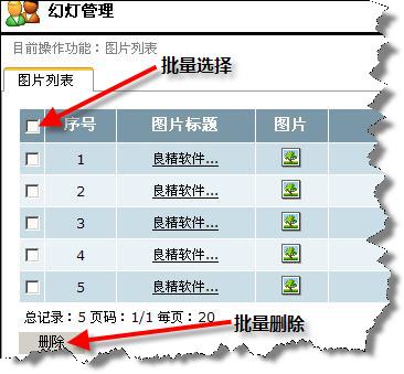 LJNetCMS IndexFlash2.jpg
