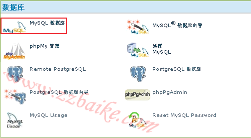mysql database