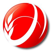 红麦软件