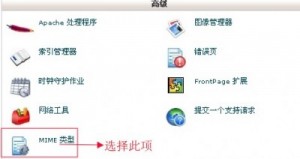 cPanel设置MIME类型