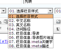 NetCMS Tags4.png