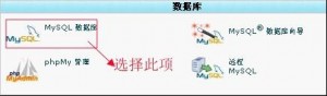 cpanel更改数据库用户权限教程