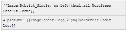 WordPress Codex社区