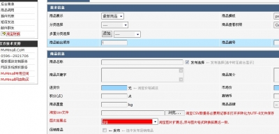 MvMall Taobao4.jpg