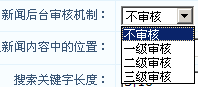 NetCMS CSSettings4.png