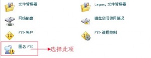 cpanel设置匿名FTP教程